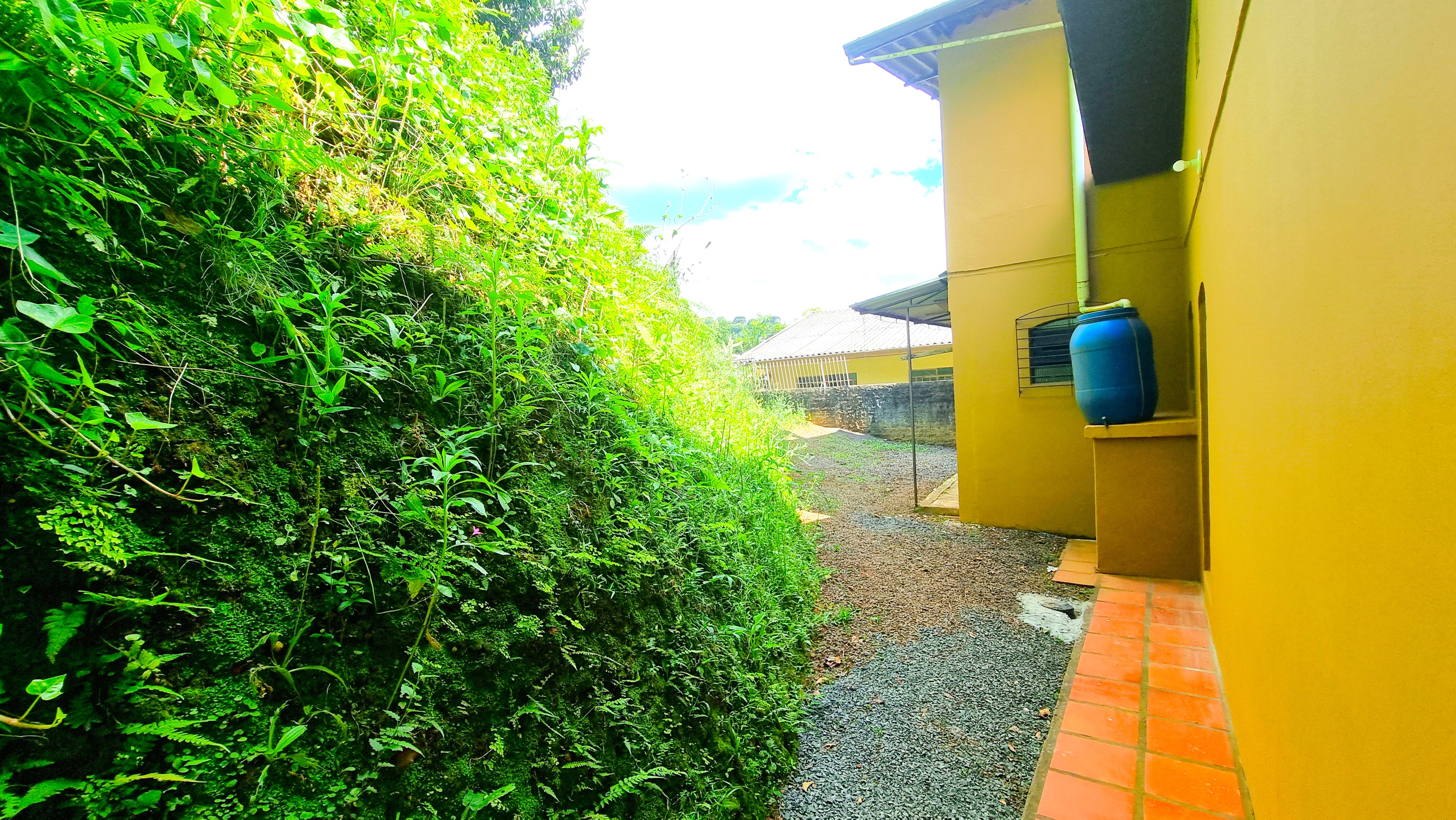 slide-4.jpg