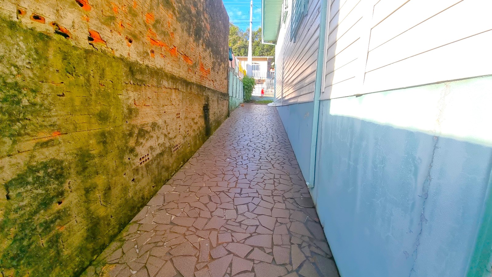slide-5.jpg